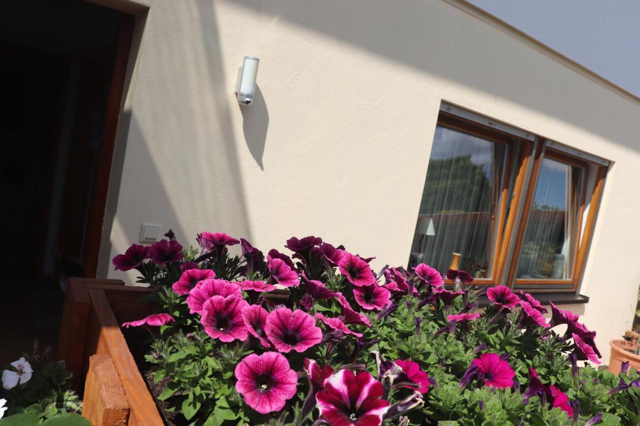 Ferienwohnung Pimer Ranschbach Exteriör bild